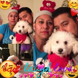 Meet your Posher, Gavilan